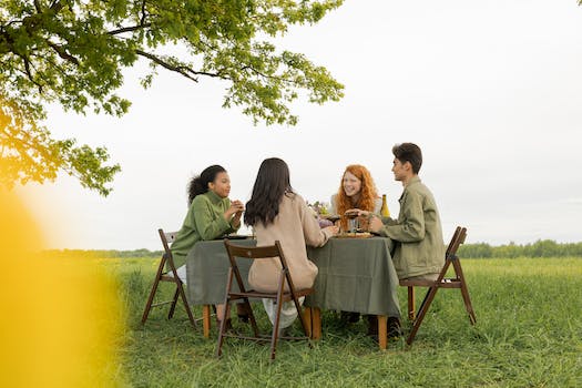 Chat with Strangers: Omegle and Beyond