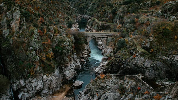 Discover New Connections with Omegle Replacements