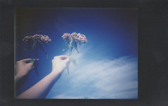 Instant Messaging with Thrilling Omegle-Like Sites